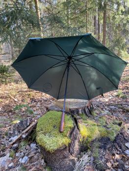 Preview: Regenschirm